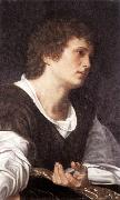 SAVOLDO, Giovanni Girolamo Bust of a Youth sg Sweden oil painting reproduction